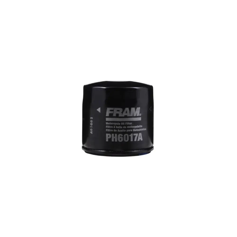 EXTRA GUARD ® Oil Filter - OE Replacement - FRAPH6017A